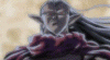 PSX Magus's Face